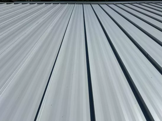 image of brick home and roof before a professional washing by A-1 Window Washers